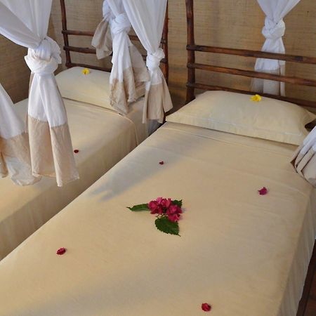 Auberge Le Maki Lodge Ampangorinana Esterno foto