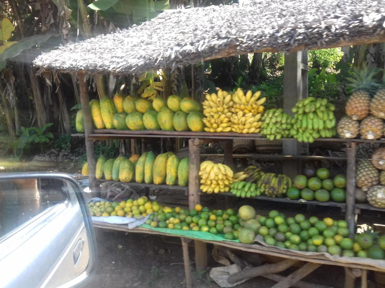 Auberge Le Maki Lodge Ampangorinana Esterno foto